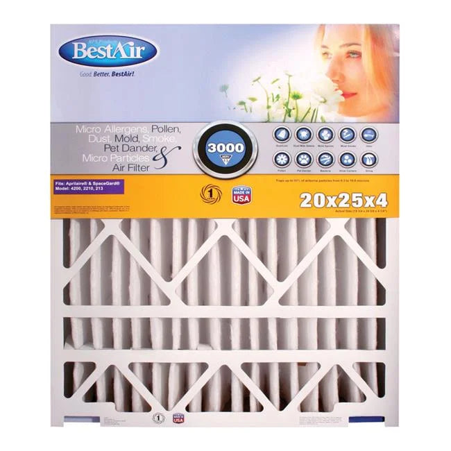 Pleated Air Filter- pack of 2. 20 x 25 x 4 in