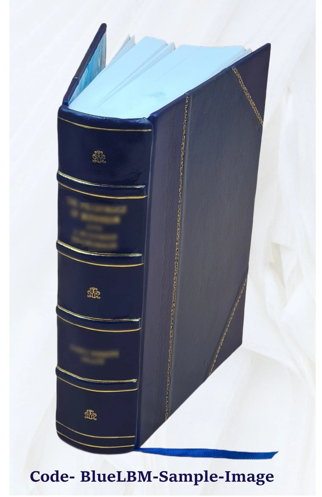 Volume v.2 1829 [Leather Bound]. I-[V]. Vol. With appendixes. &c. Reports from the Lords Committees Touching the Dignity of a Peer of the Realm, &c