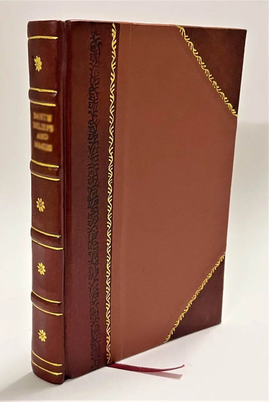 V.1-2: A Practical Handbook Volume 1 / David Salomons (1898) [Leather Bound]. Electric Light Installations ..