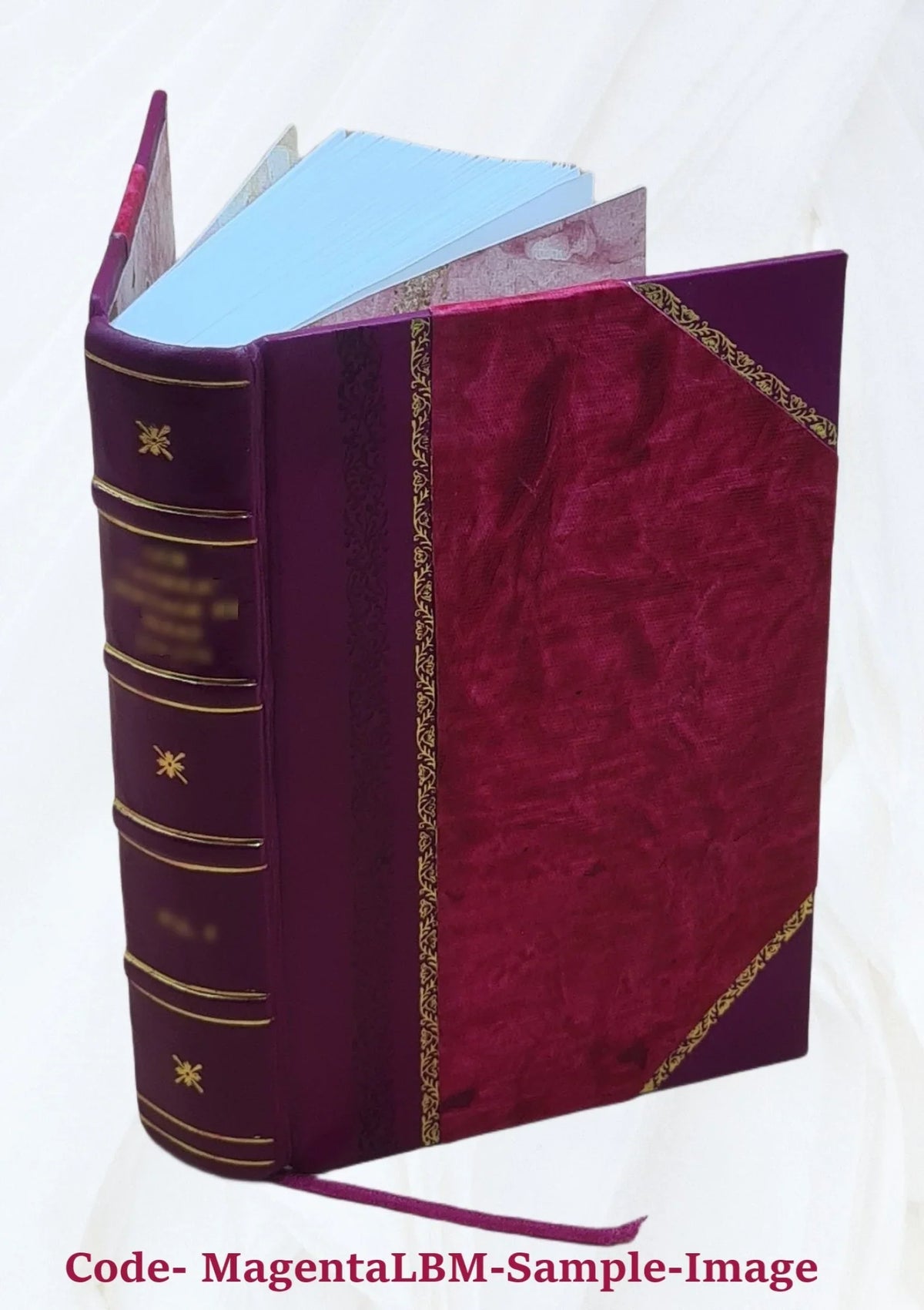 Ioannis de Pineda Hispalensis e Societate Iesu Ad suos in Salomonem commentarios Salomon praeuius, id est, de rebus Salomonis regis libri octo 1613 [Leather Bound]