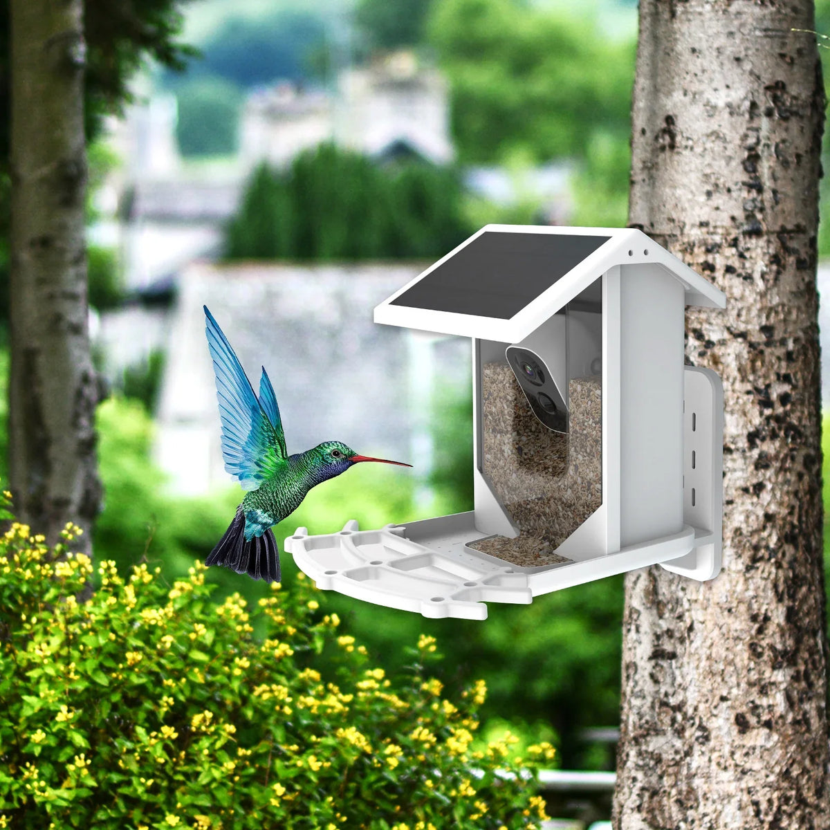 Aibecy Low Solar Bird Camera 1080P Night Vision Camera IP66 Waterproof for Birds and Wildlife