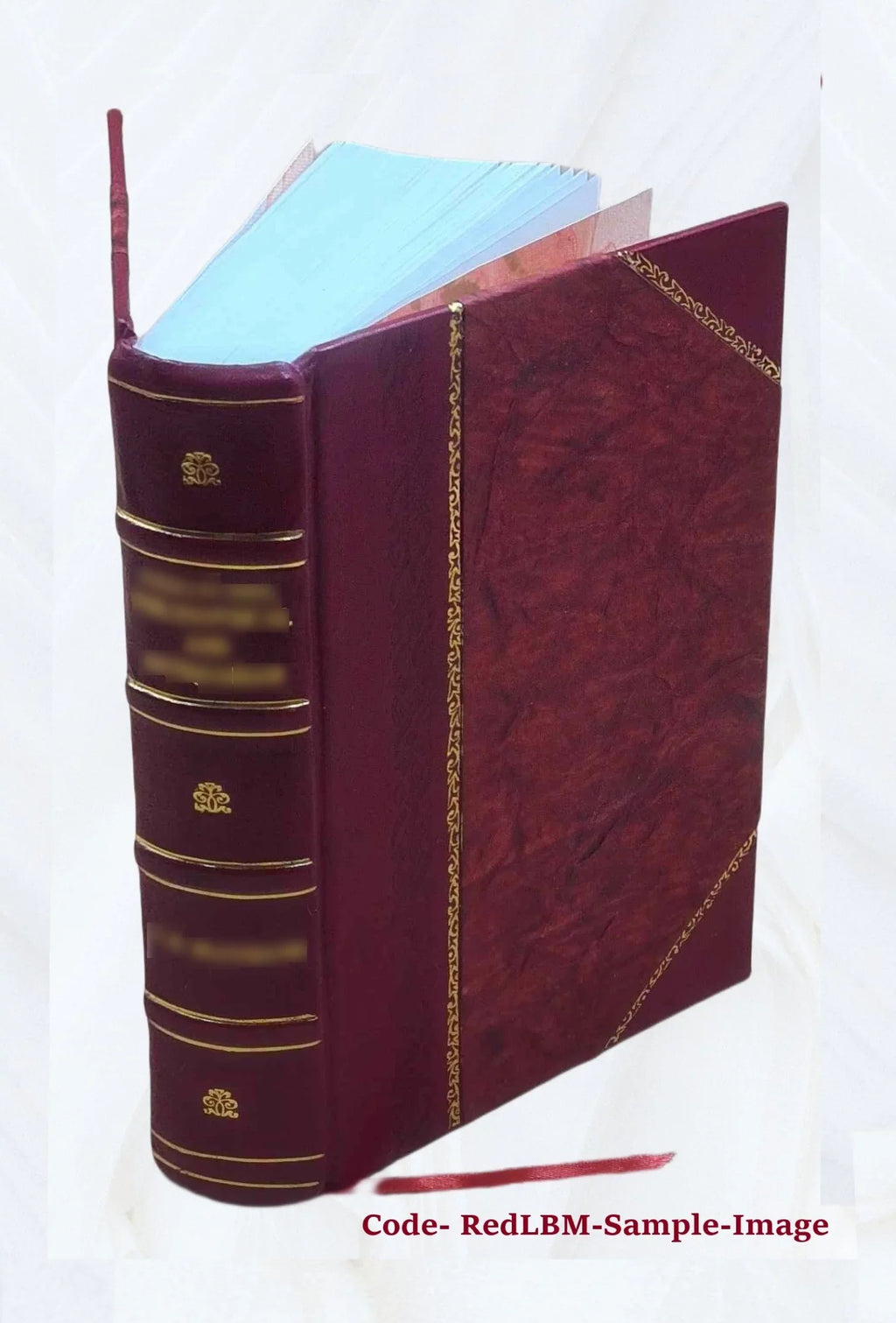 Volume v.2 1829 [Leather Bound]. I-[V]. Vol. With appendixes. &c. Reports from the Lords Committees Touching the Dignity of a Peer of the Realm, &c