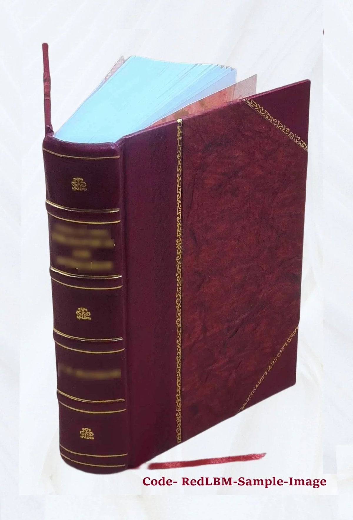 Volume v.2 1829 [Leather Bound]. I-[V]. Vol. With appendixes. &c. Reports from the Lords Committees Touching the Dignity of a Peer of the Realm, &c