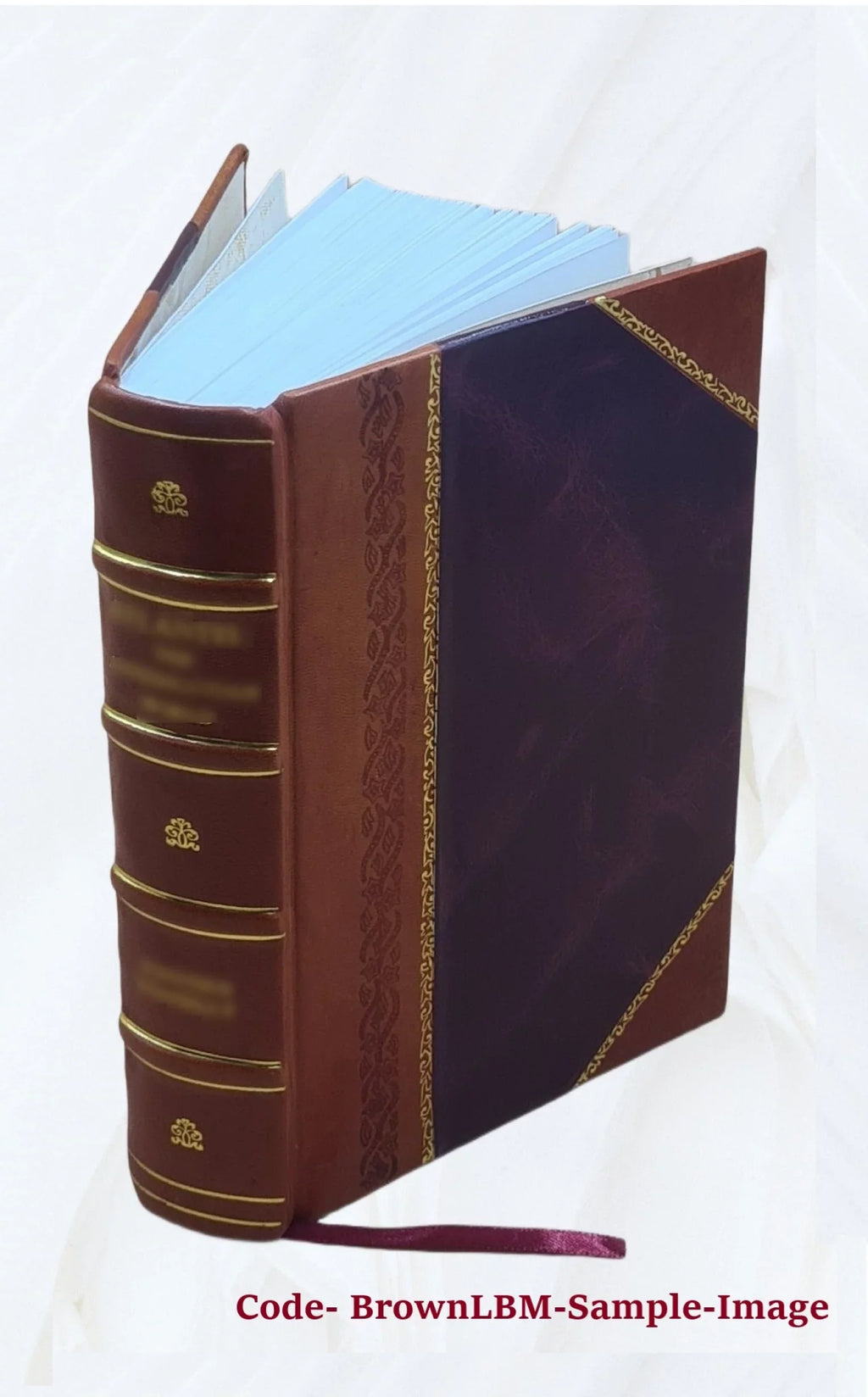 Volume v.2 1829 [Leather Bound]. I-[V]. Vol. With appendixes. &c. Reports from the Lords Committees Touching the Dignity of a Peer of the Realm, &c