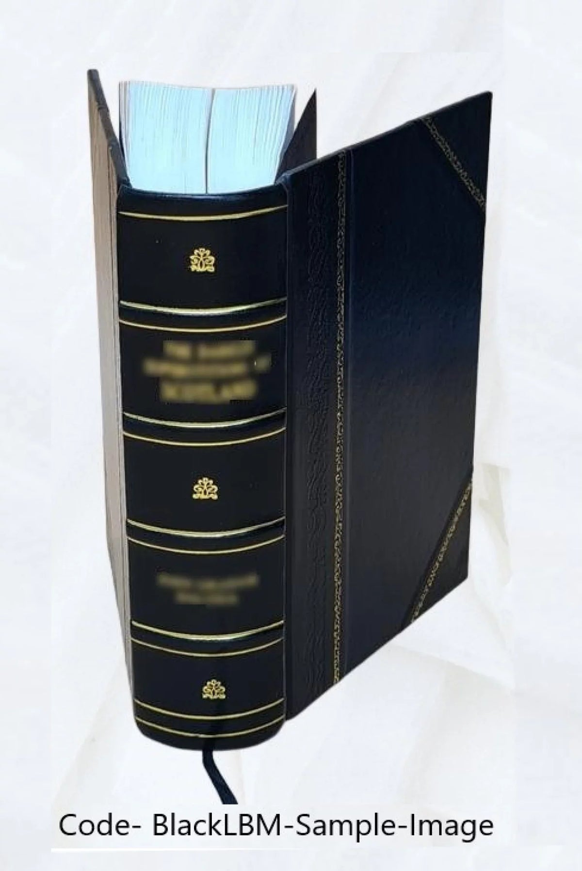 Volume v.2 1829 [Leather Bound]. I-[V]. Vol. With appendixes. &c. Reports from the Lords Committees Touching the Dignity of a Peer of the Realm, &c
