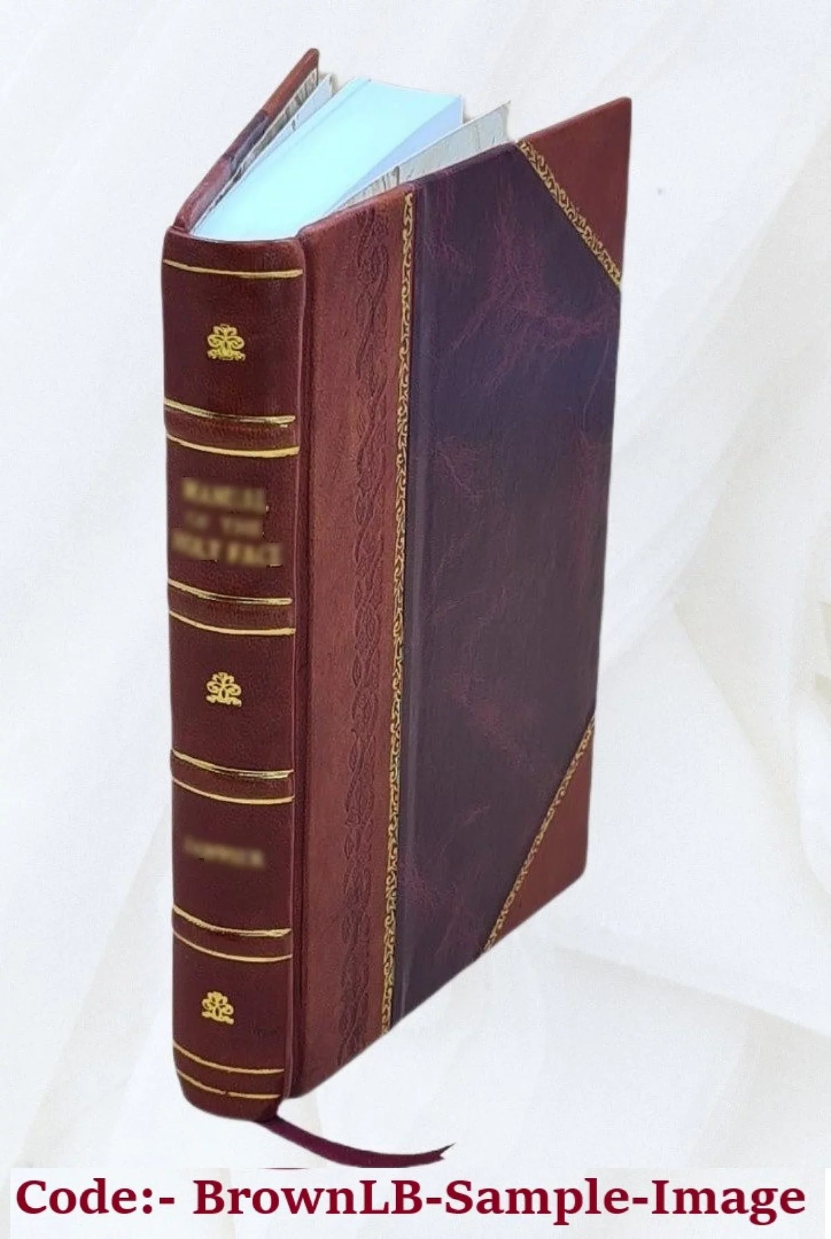 Breweries and maltings : their arrangement, construction, machinery, and plant 1880 [Leather Bound]